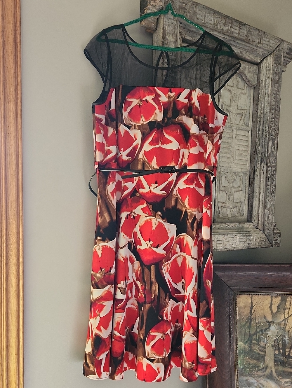 VtG Liz CLAIBORNE Floral Poppy Mesh Yoke Fit-and-Flare Dress Sz 14